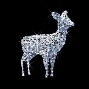 Illumine doe