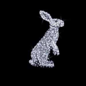 Lapin standing profile illuminates