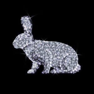 rabbit illuminates