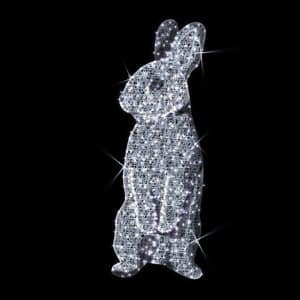 Standing Face rabbit illuminates