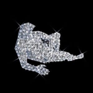 human animal penguin illuminates
