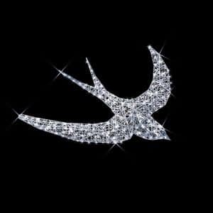 Hirondelle illuminates