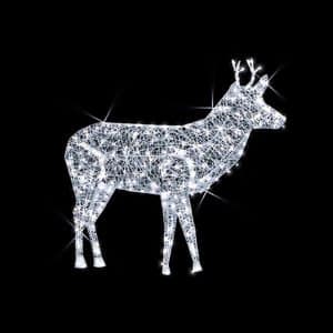 deer illuminates