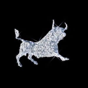 High headlong bull illuminates