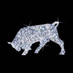 Basse head bull illuminates