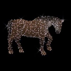 horse illuminates
