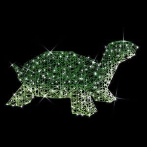 illuminated turtle