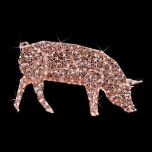 pig illuminated