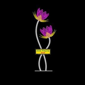 Flowe city illuminates