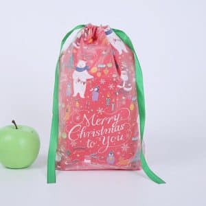 Christmas gift bag