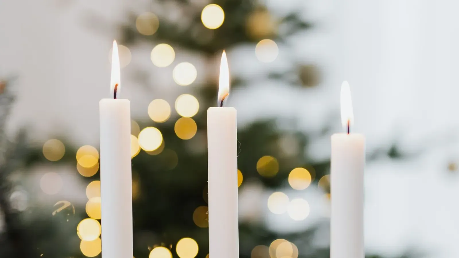 Three white taper candles in slim gold holders with a softly blurred lit Christmas tree behind