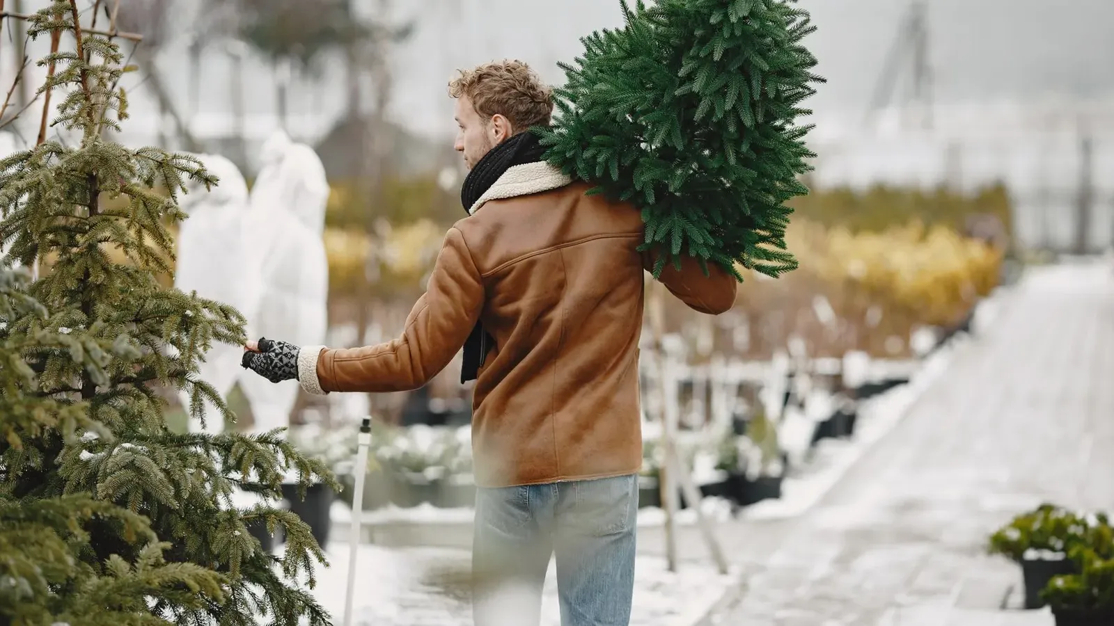 Man in a shearling jacket, seen from behind, carrying a fresh fir tree over his shoulder through a garden centre