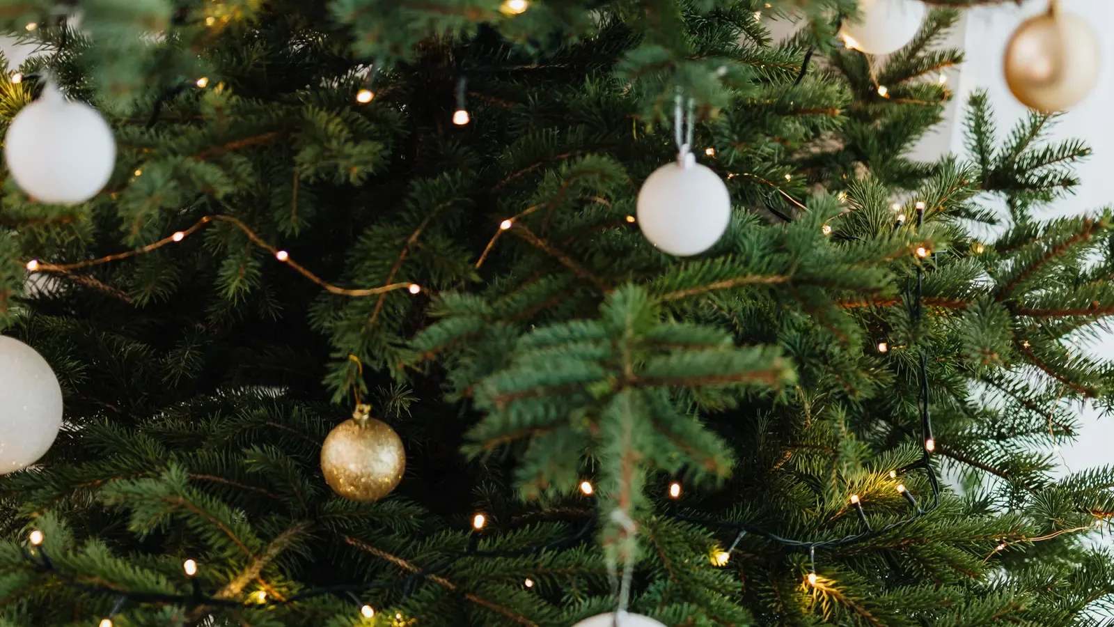 Patterned white gift boxes and small red boxes with gold ribbon under a fir tree with white and gold baubles