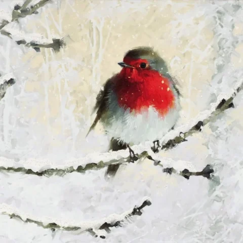 English robin Christmas cards, 20 with glitter and keepsake box