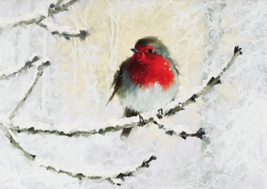 English robin Christmas cards, 20 with glitter and keepsake box