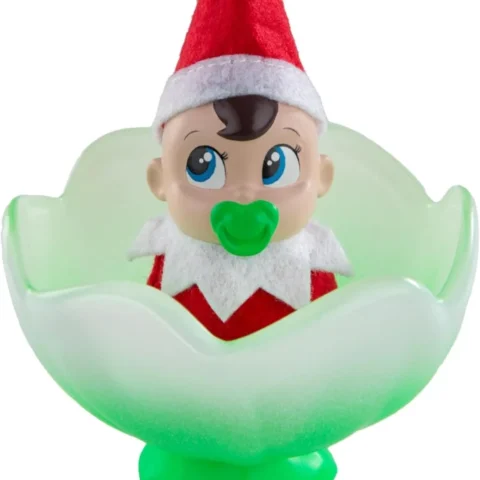 Frost Pips baby elf in a frost flower, boy with blue eyes
