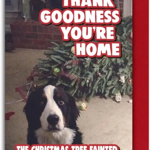 Funny dog Christmas card with a fallen tree, blank inside