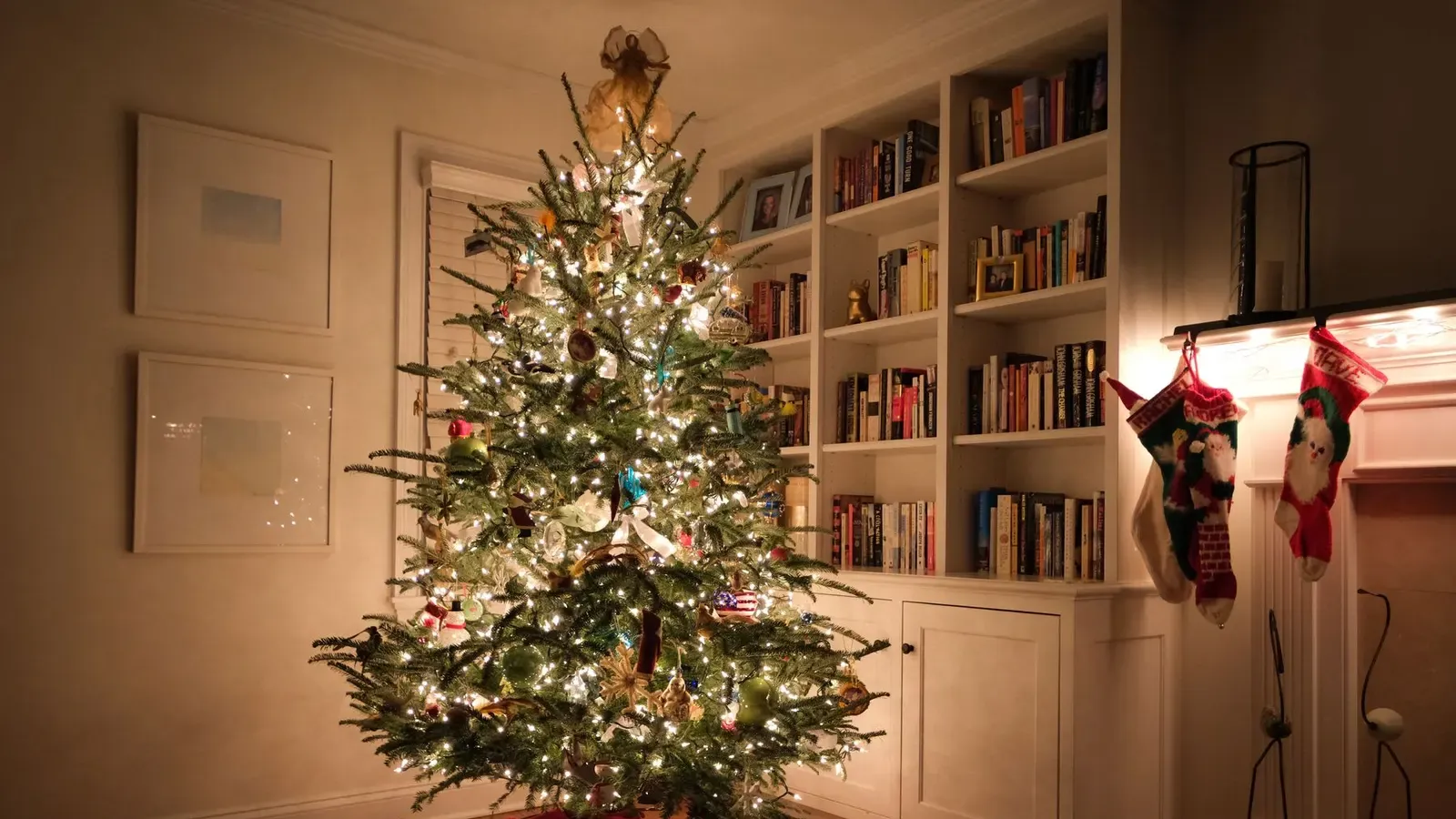Fir tree covered in warm white lights in a corner with built-in bookshelves and stockings hanging from a mantel