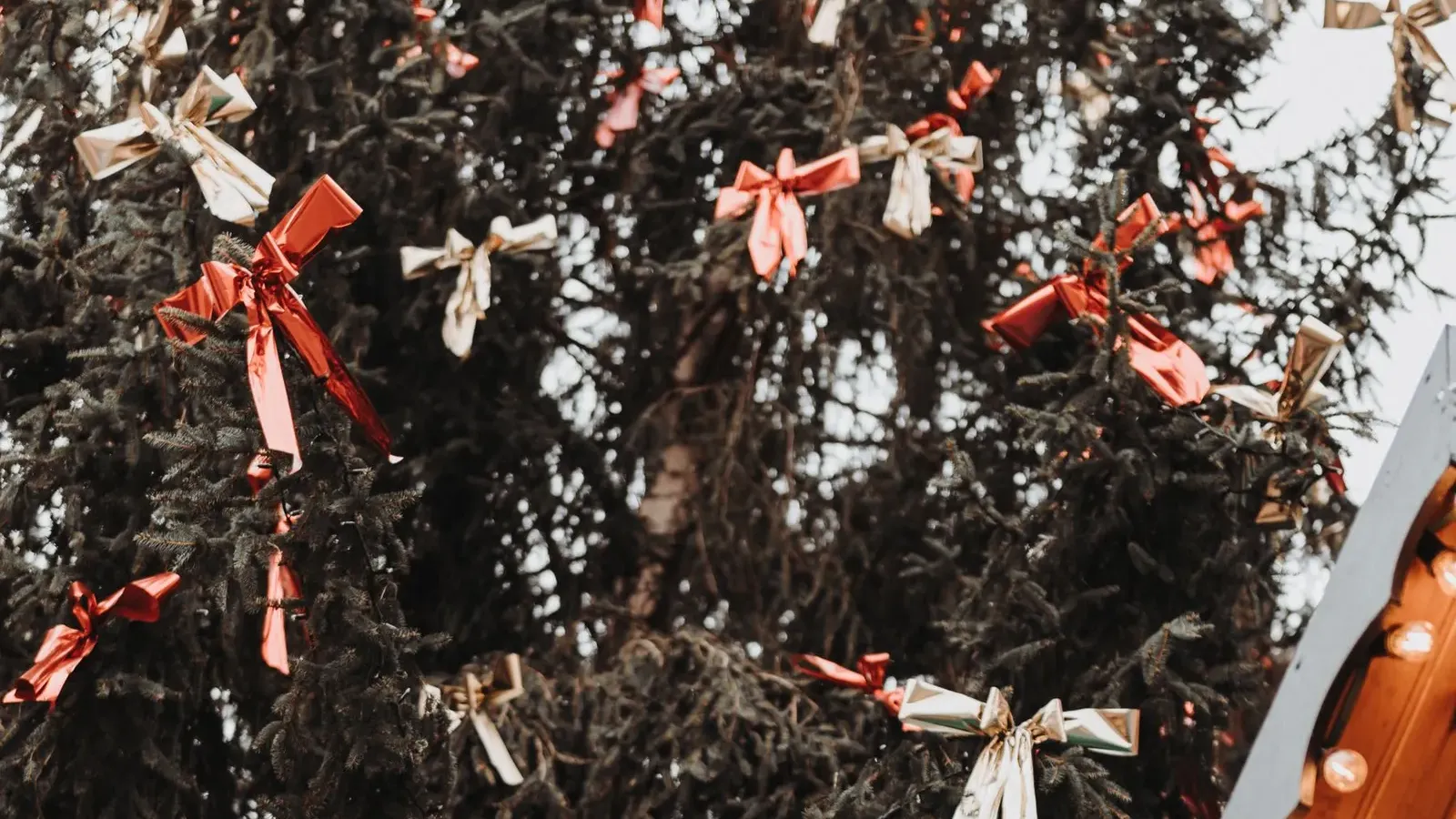 Peaked wooden market stall roofs edged with warm bulbs beneath a fir tree hung with small red and white bows