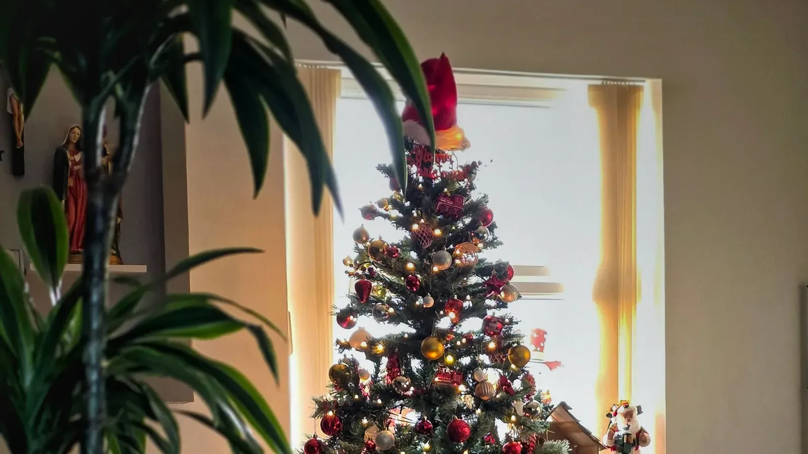 Small Christmas tree with red and gold baubles and warm lights beside a window, seen past a large plant