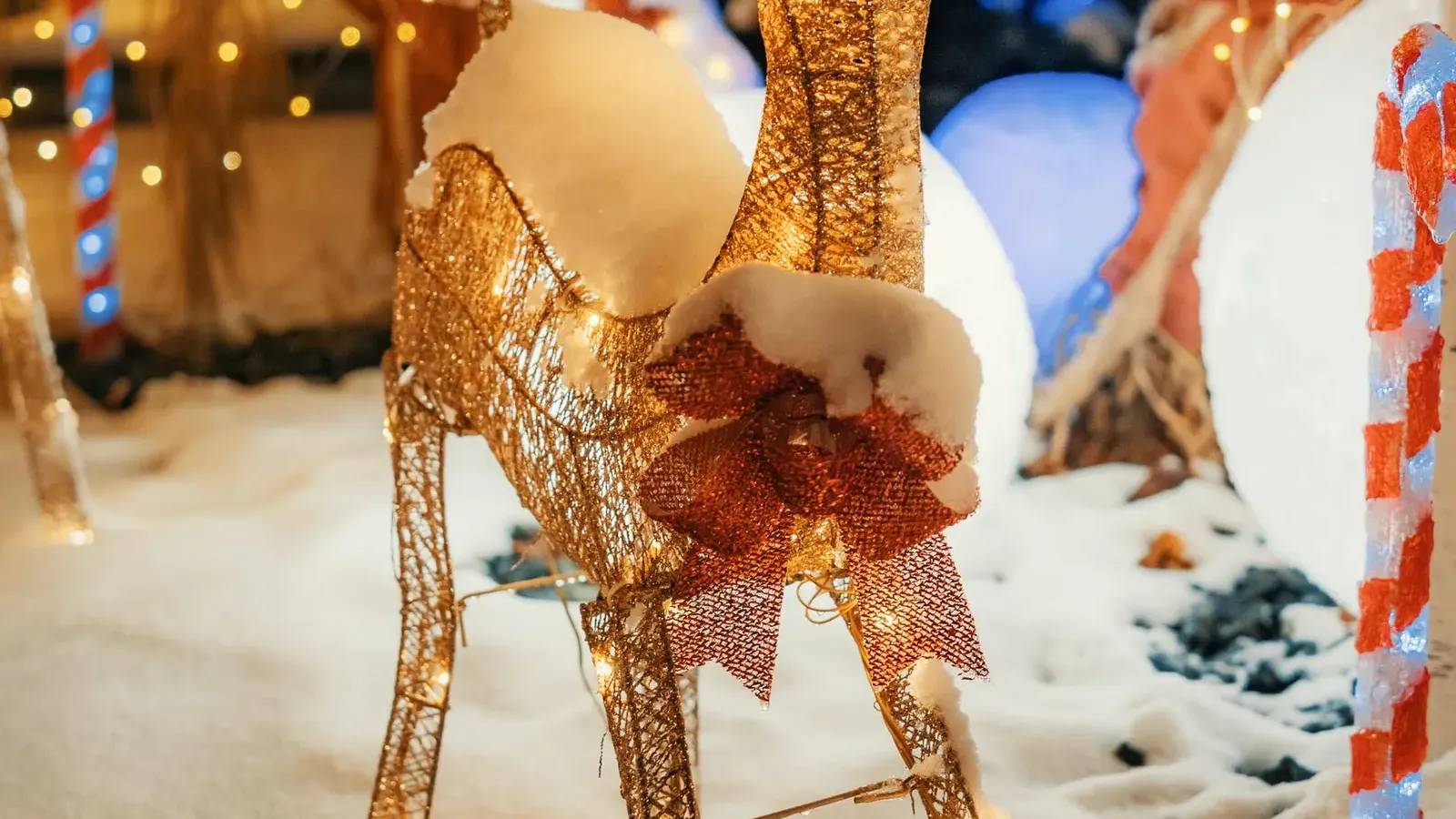 Golden wire reindeer with a red bow standing in snow among glowing lights and festive decorations