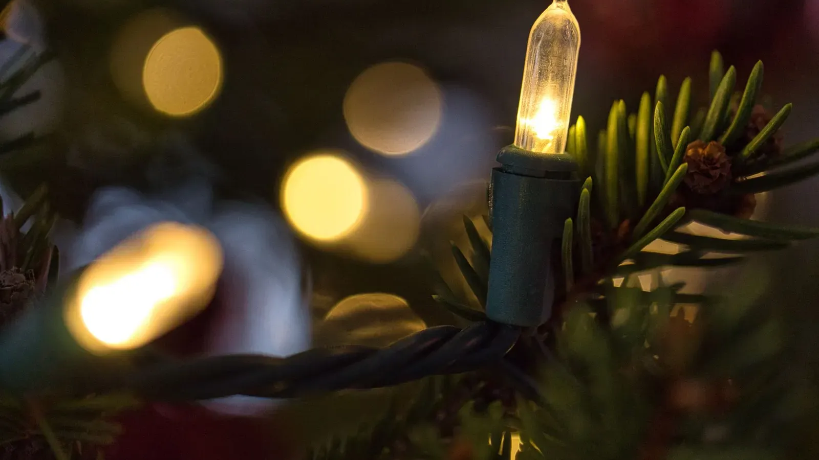 Close-up of a clear candle-shaped bulb on a green cable among fir needles, with soft bokeh lights behind