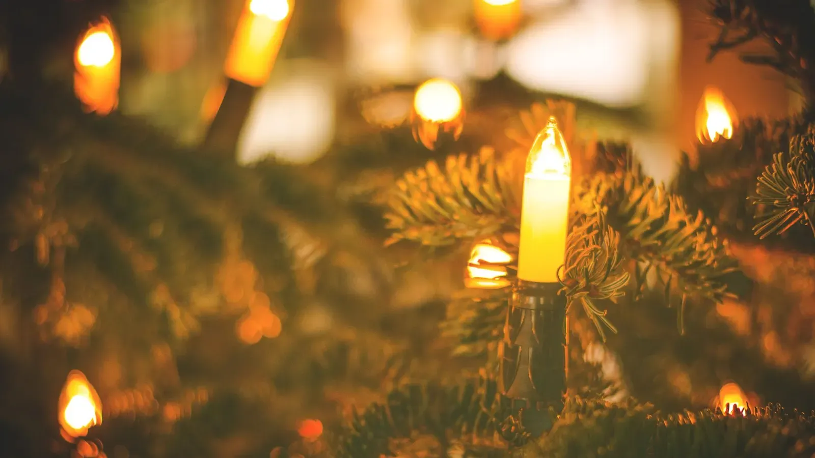 Candle-shaped tree light glowing warm yellow among fir branches, with more lights blurred behind
