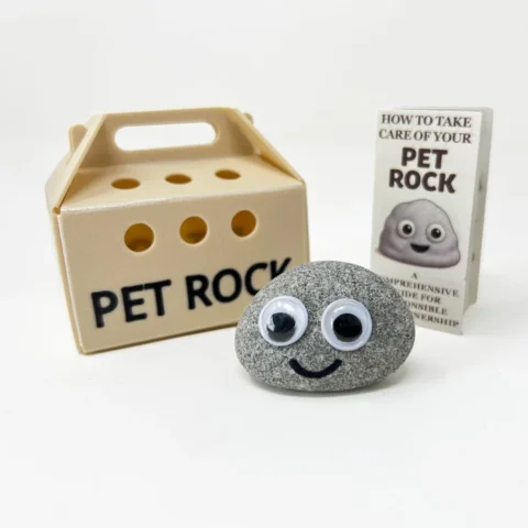 Novelty pet rock joke gift, version without a gift bag