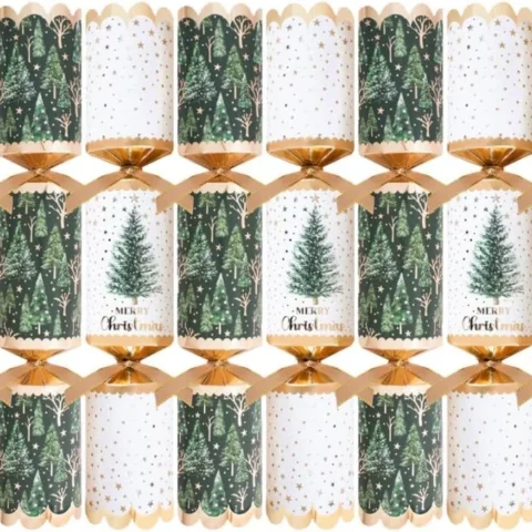 Pack of 8 tree design Christmas crackers with place cards