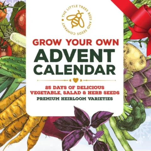 Seed advent calendar with 25 vegetable, herb and salad seed packets