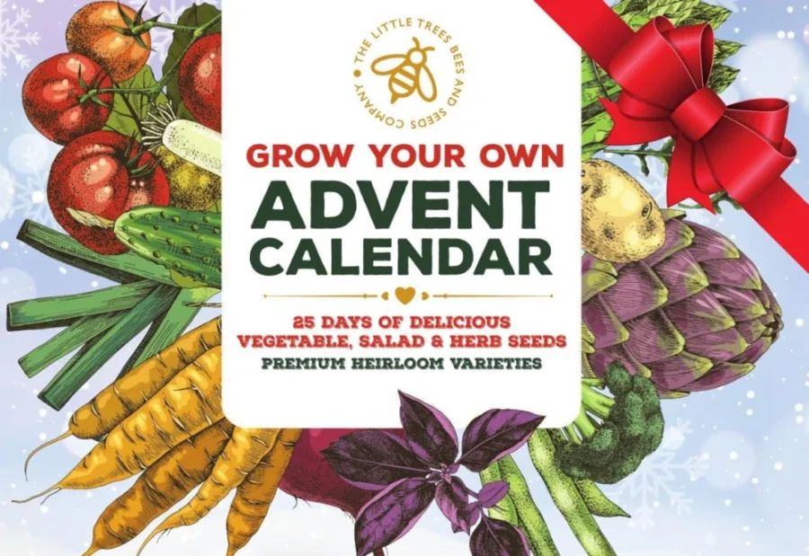 Seed advent calendar with 25 vegetable, herb and salad seed packets