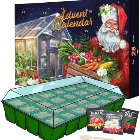 Seeds advent calendar with 24 seed packets and 2-piece greenhouse