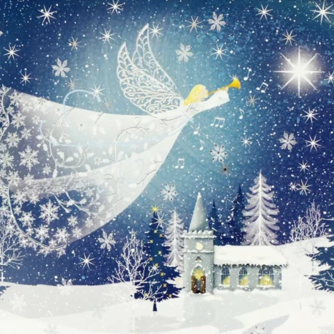 Tidings of Joy boxed Christmas cards, 20 with silver foil